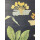 Alte Schulkarte Getreiderost Rollkarte Wandkarte Lehrkarte Schulwandkarte #5971