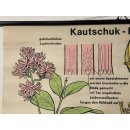 Alte Schulkarte Kautschuk Rollkarte Wandkarte Lehrkarte Schulwandkarte #5977