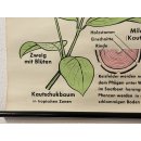 Alte Schulkarte Kautschuk Rollkarte Wandkarte Lehrkarte Schulwandkarte #5977