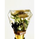 Weinstopfen Flaschenkorken Flaschenverschluss Weinflaschenverschluss Pilze #7278