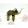 10x Vintage Elefant Figur Glas Tierfigur Statue Skulptur Asien Afrika Deko #7413